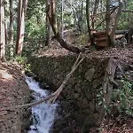 Maria Quinta 1 
