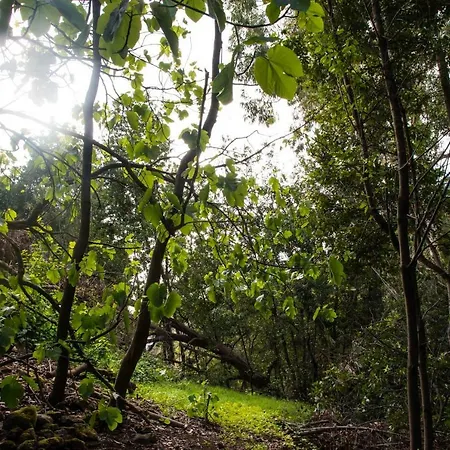 Prázdninový dům Maria Quinta 1 