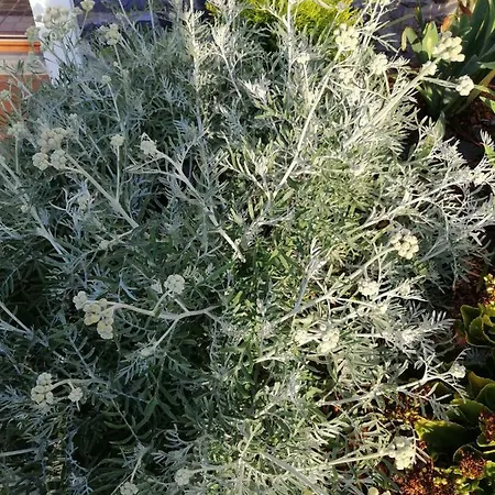 펜션 Maria Quinta 1 