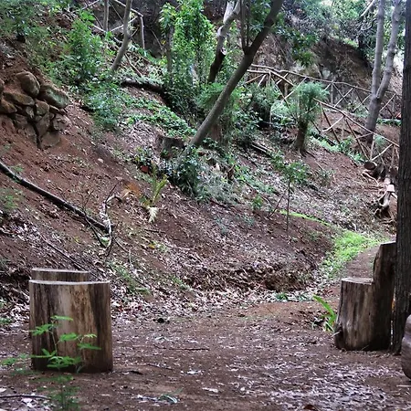 펜션 Maria Quinta 1 