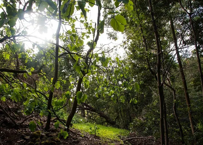 Сasa de vacaciones Maria Quinta 1 