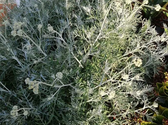 Casa vacanze Maria Quinta 1 